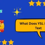 What Does YSL Mean in Text