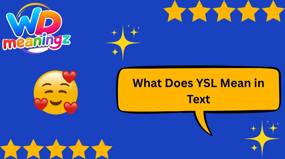What Does YSL Mean in Text