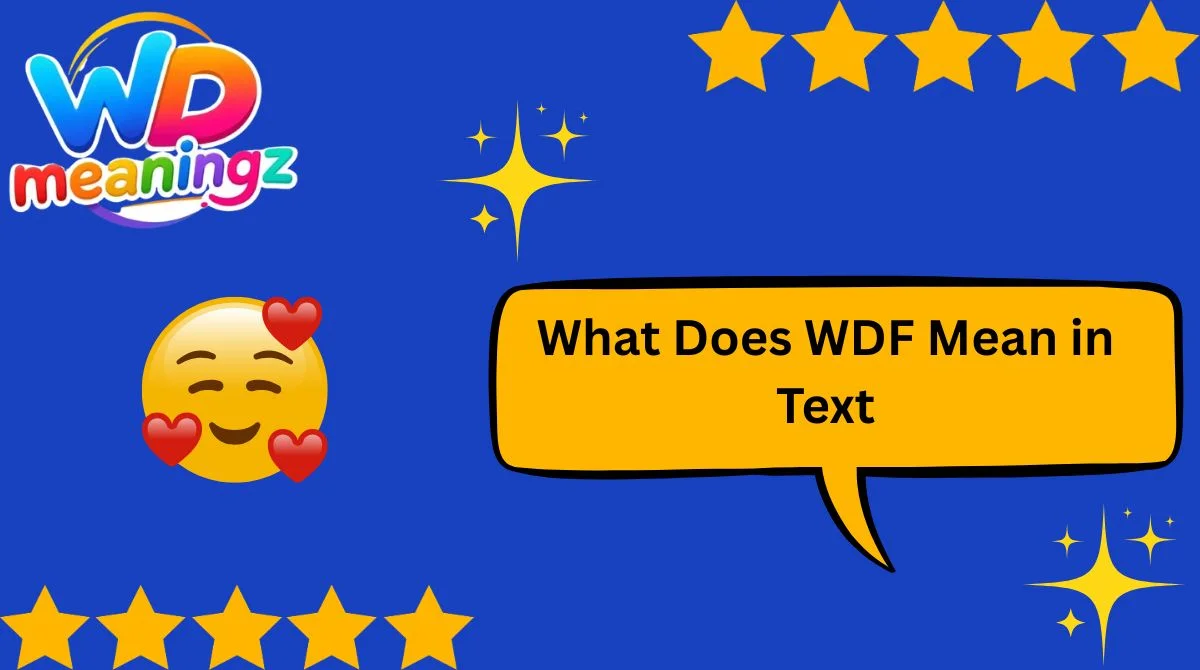 What Does WDF Mean in Text