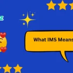 What IMS Means in Text
